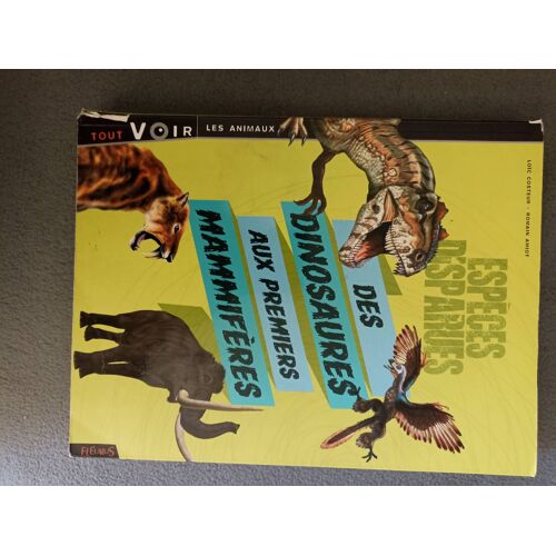 Des Dinosaures Aux Premiers Mammifères Fleurus Livre Jeunesse