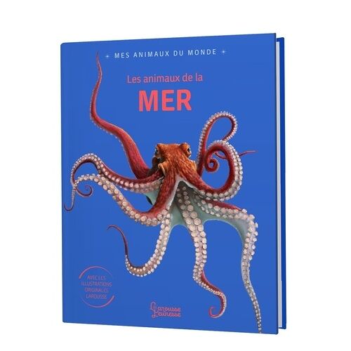 Les Animaux De La Mer
