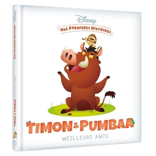Timon Et Pumbaa Meilleurs Amis