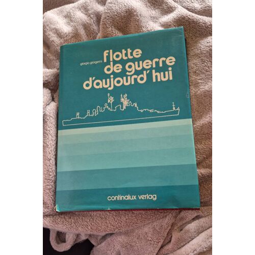 Flotte De Guerre D'Aujourd'Hui