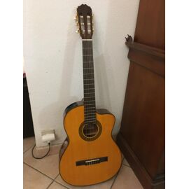 Guitare Acoustique Takamine Eg124c Pan Coupé Avec Sa Housse Souple Tobago