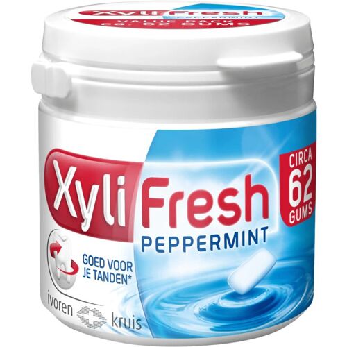 Xylifresh Chewing-Gum Menthe Poivrée Sans Sucre 93g
