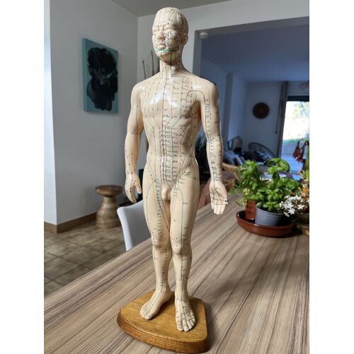 Mannequin Méridiens Chinois