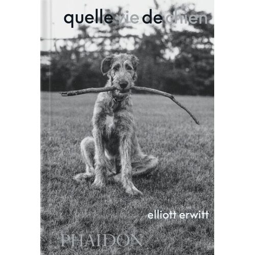 Quelle Vie De Chien