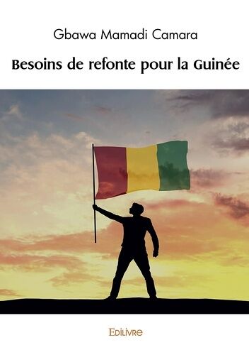 Besoins De Refonte Pour La Guinée
