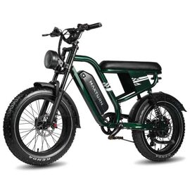 Vélo Électrique - Maxturn Mx10 - Moteur 500 W - Batterie 48v 13,5ah - Autonomie 80¿100 Km - Roues 20" - Vert
