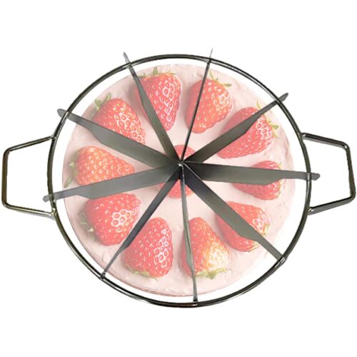 Subzonal-Coupe Gâteau - Découpe-Gâteau Pour Tranches Régulières,Diviseur En Acier Inoxydable 6 9 Ou 10 Parts Outil De Cuisine Pour Pâtisserie Maison Anniversaire Mariage