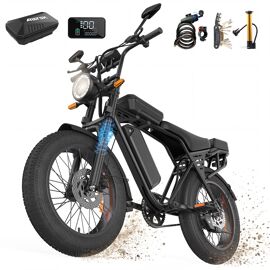 Vtt Électrique 48v 15ah 250w, Vélo Électrique Pneu 20 X 4 Pouces  Tout Terrain, Autonomie 50-80km, Batterie Amovible, Suspension Avant, Charge 200kg