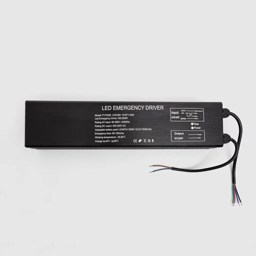 Driver De Secours Pour Luminaire Led Full Load 250 W