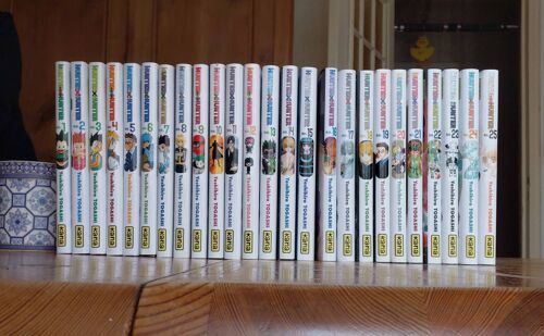 Hunter × Hunter Tome 1 À 25