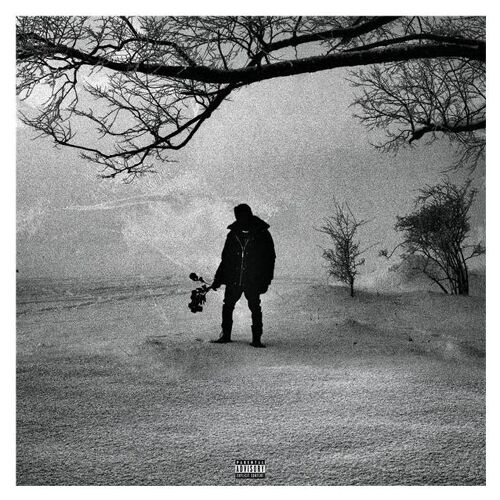 Man (Black Roses & Lost Feelings) - Vinyle