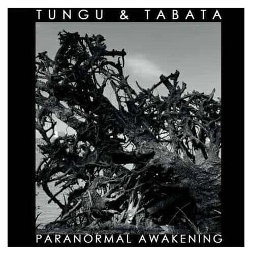 Paranormal Awakening - Cd Album
