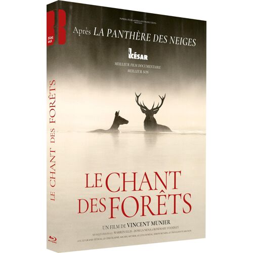 Le Chant Des Forêts - Blu-Ray