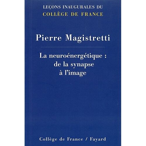 La Neuroénergétique : De La Synapse À L'image