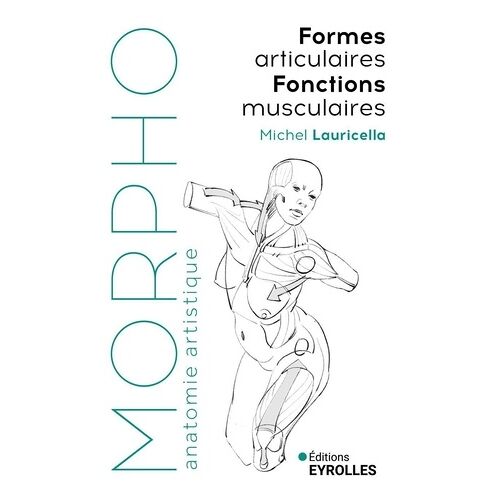 Formes Articulaires - Fonctions Musculaires