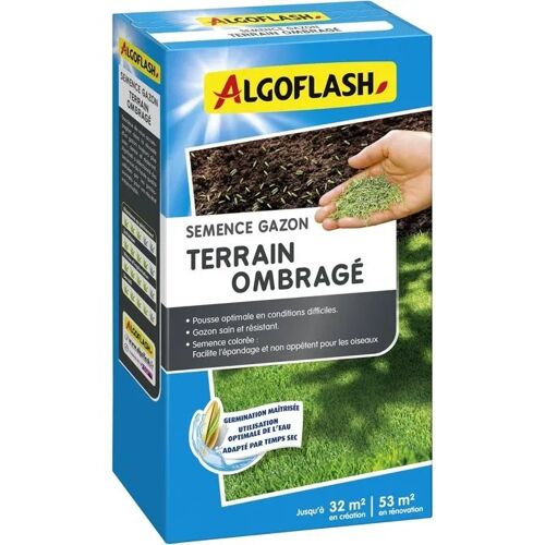 Graines De Gazon Algoflash Pour Zone Ombragée 800 G
