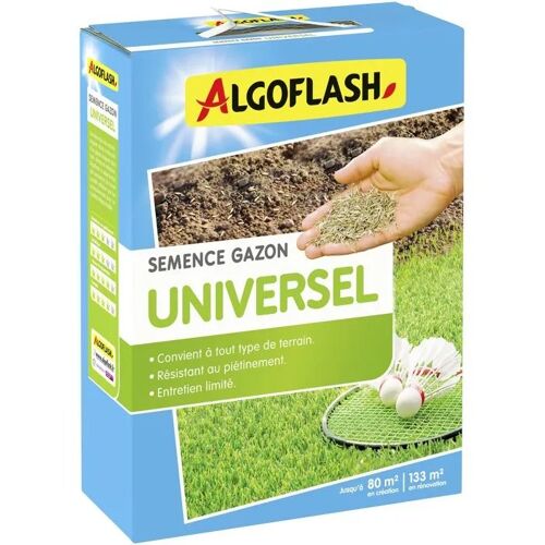 Graines De Gazon Algoflash Universel 2 Kg