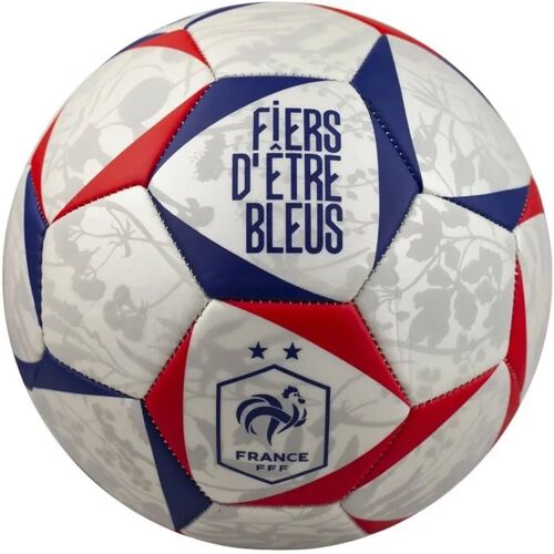 Ballon De Football Fff T5 Tricolore Floral