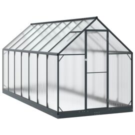 Vidaxl Serre De Jardin Avec Porte Anthracite 183,5 X 423,5 X 207 Cm