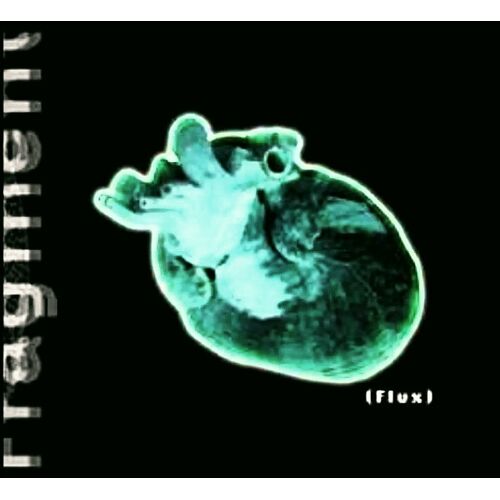 Fragment - (Flux)