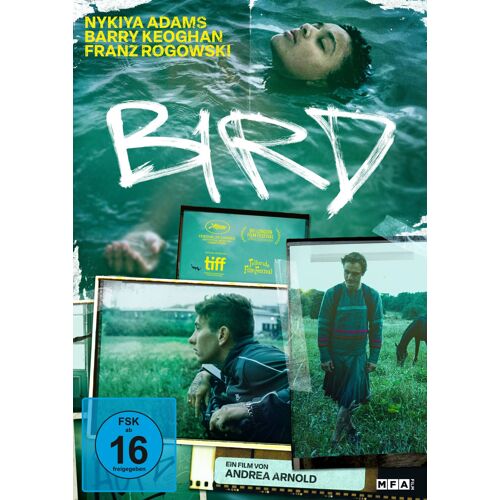 Alive Ag 5658105 Film Dvd Hd Allemand, Anglais (Bird)