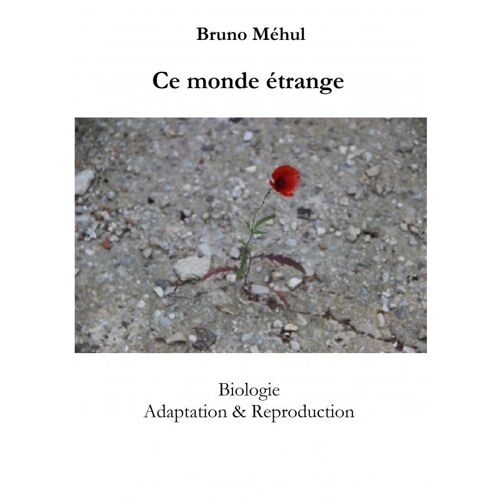 Ce Monde Étrange