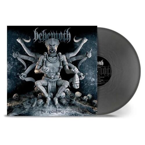 The Apostasy - Vinyle