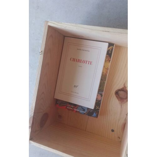 Charlotte David Fuckinosh Chez Gallimard 2014 3e Dépôt Légale