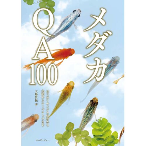 Qa100 (Qa100 4)