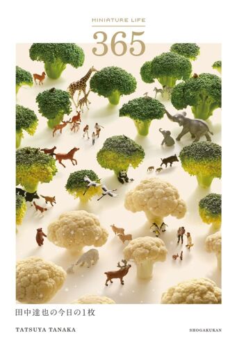Miniature Life 365: 1