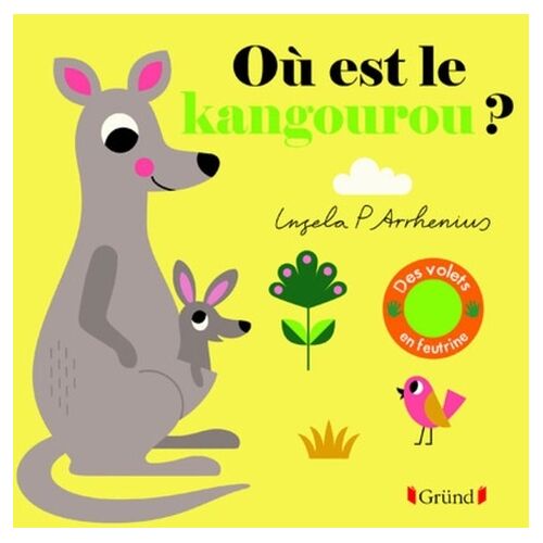 Où Est Le Kangourou ? - Des Volets En Feutrine Et Un Miroir !