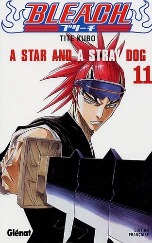 Bleach - Tome 11 : A Star And A Stray Dog