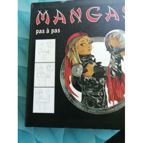 Mangas Pas À Pas