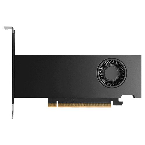 NVIDIA - Workstation Edition - carte graphique - RTX PRO 2000 Blackwell - 16 Go GDDR7 - PCIe 5.0 x8 - 4 x Mini DisplayPort