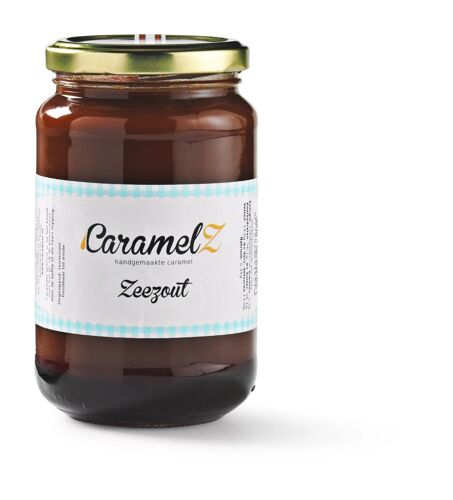 Caramelz Caramel Liquide Au Sel De Mer, Sauce Caramel Onctueuse Et Gourmande, Parfait Pour Desserts, Glaces Et Pâtisseries, 400 G