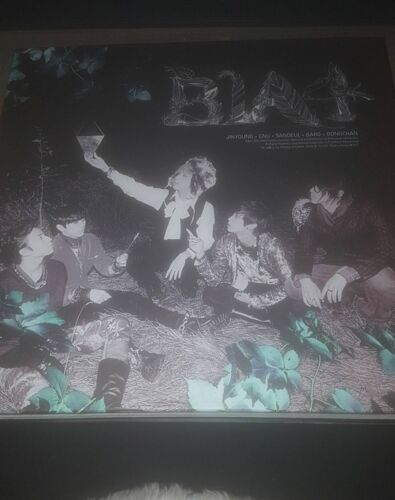 B1a4 In The Wind