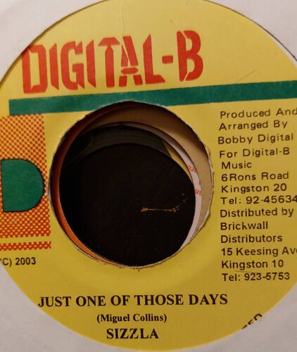 Sizzla - Just One Of Those Days ( Queen Of The Minstrel Riddim)