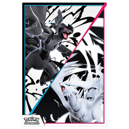 Asmodee Pokémon: Coffret Poster Foudre Noire&flamme Blanch 10 Min Jeu De Cartes A Collectionner