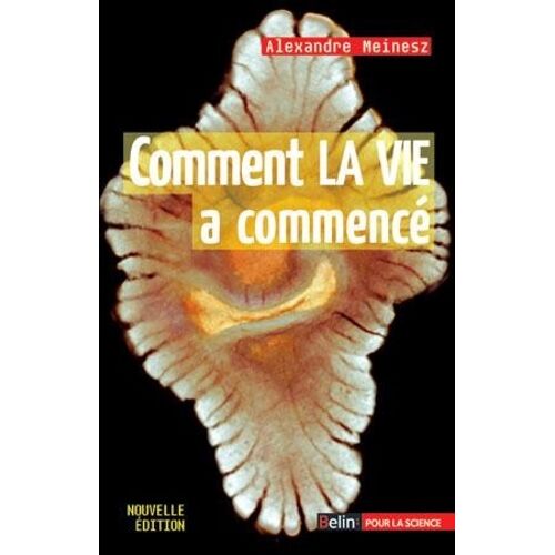 Comment La Vie A Commencé ?
