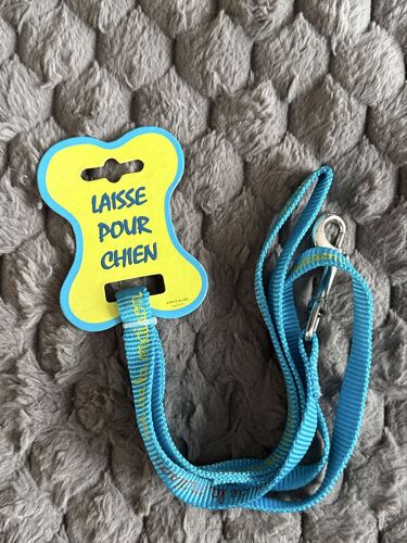 Laisse Pour Chien