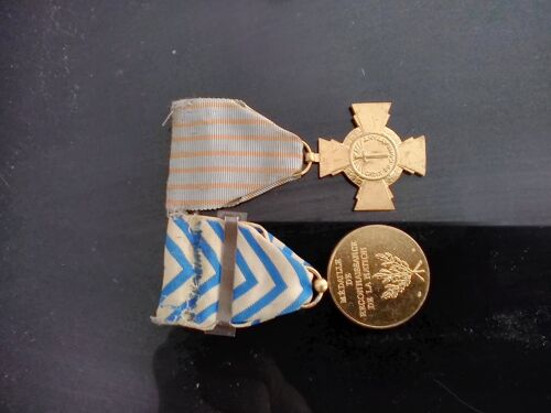 Médaille Afrique Du Nord