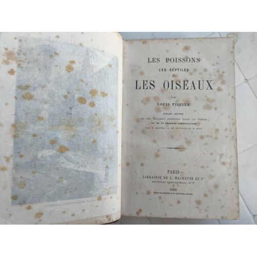 Livre Ancien 1868 Par L Figuier " Les Poissons, Reptiles Et Oiseaux"