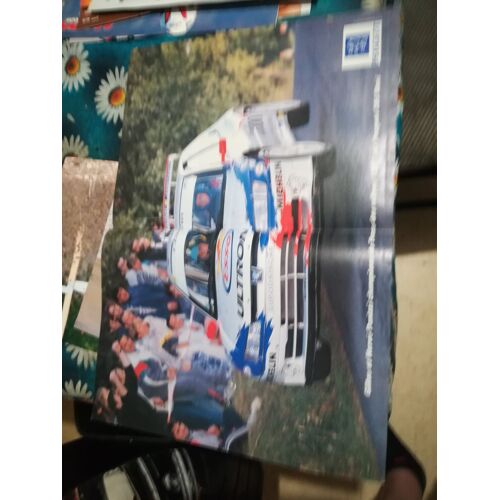 Poster Panizzi Peugeot 306 Maxi