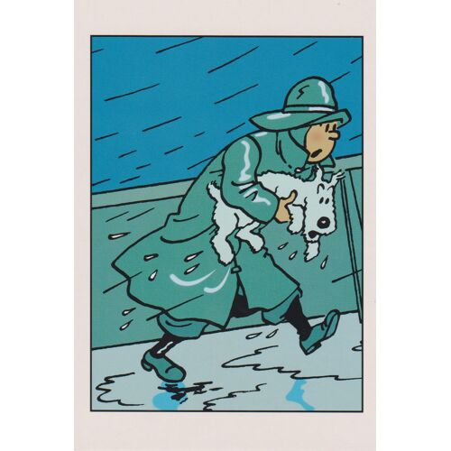 Carte Postale Tintin N°036 - Tintin Affrontant Une Tempête Sur La Mer Avec Milou