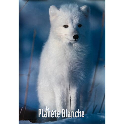 Affiche / Poster - La Planète Blanche - 68x98cm