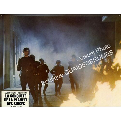 La Conquête De La Planète Des Singes (Conquest Of The Planet Of The Apes) : Photo D'Exploitation Cinématographique - Format 21,5x28 Cm - De J. Lee Thompson Avec Roddy Mcdowall, Don Murray - 1972