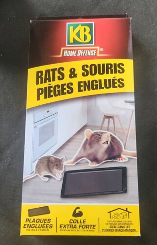 Pièges englués rats et souris