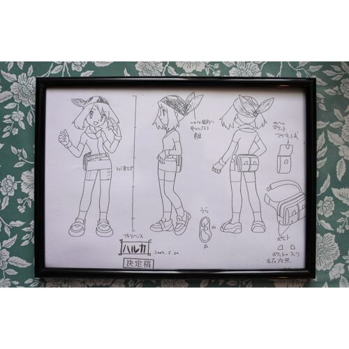 Copie De Travail - Pokémon - Flora - Ruby/Saphir - From Japan - Encadré (Modèle B)