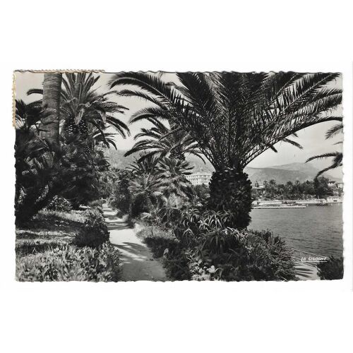 Carte Postale N° 06.011.48 , Beaulieu-Sur-Mer , A.-M. , Les Jardins , 22.06.57 ( 1957 )