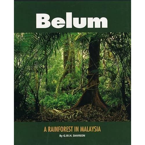 Belum: A Rainforest In Malaysia